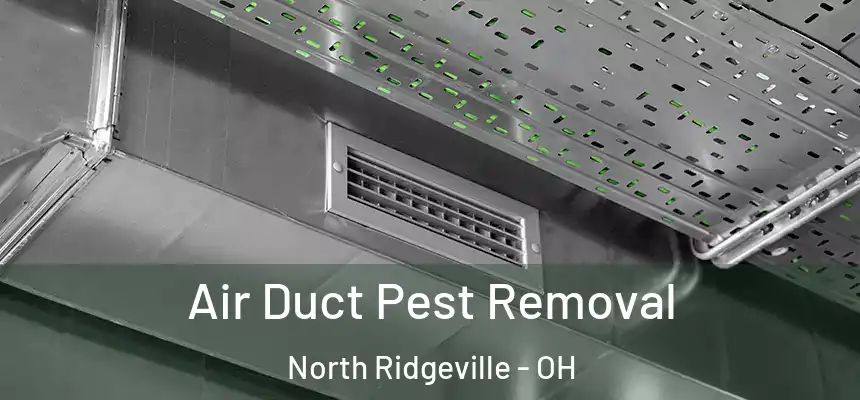 Air Duct Pest Removal North Ridgeville - OH
