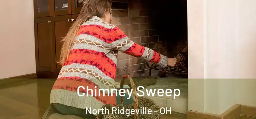  Chimney Sweep North Ridgeville - OH