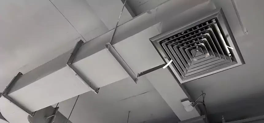 Restorative Allergy Relief Vent Cleaning – Coil, Blower & Housing Detail in North Ridgeville