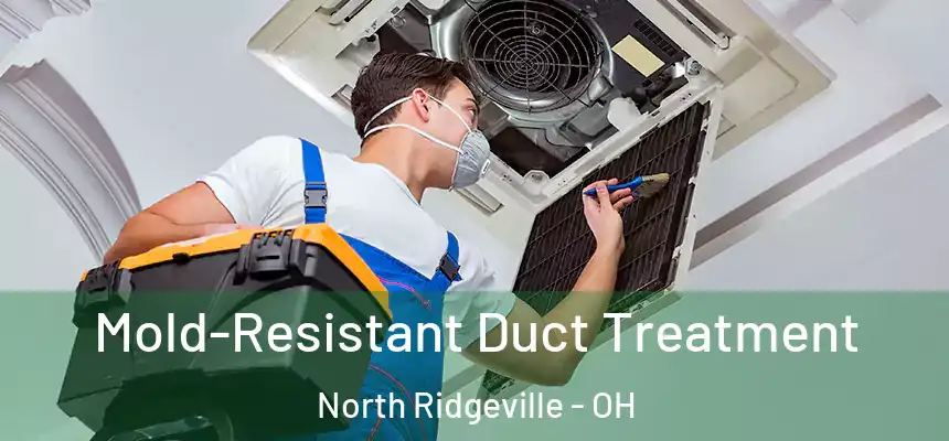  Mold-Resistant Duct Treatment North Ridgeville - OH