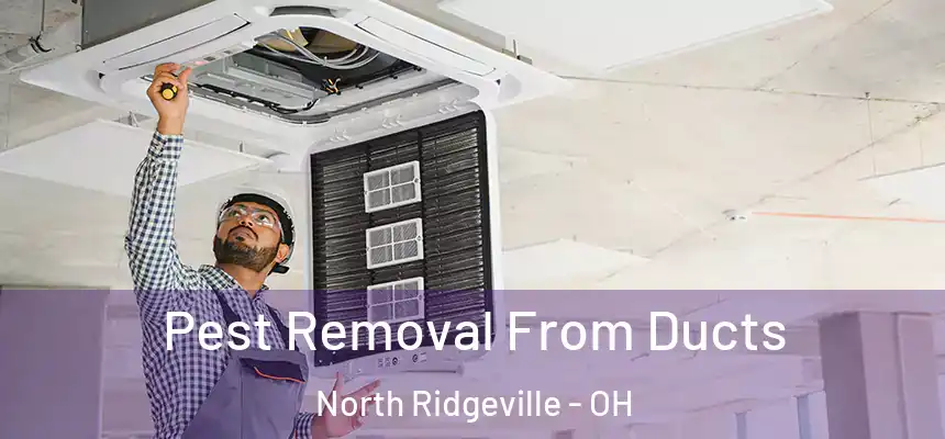  Pest Removal From Ducts North Ridgeville - OH