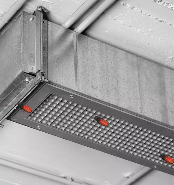 About Air Duct Cockroach Removal in North Ridgeville, OH