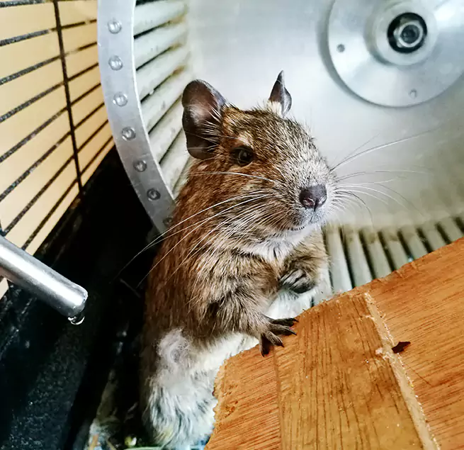 Why Homeowners & Businesses Trust Us North Ridgeville, OH?